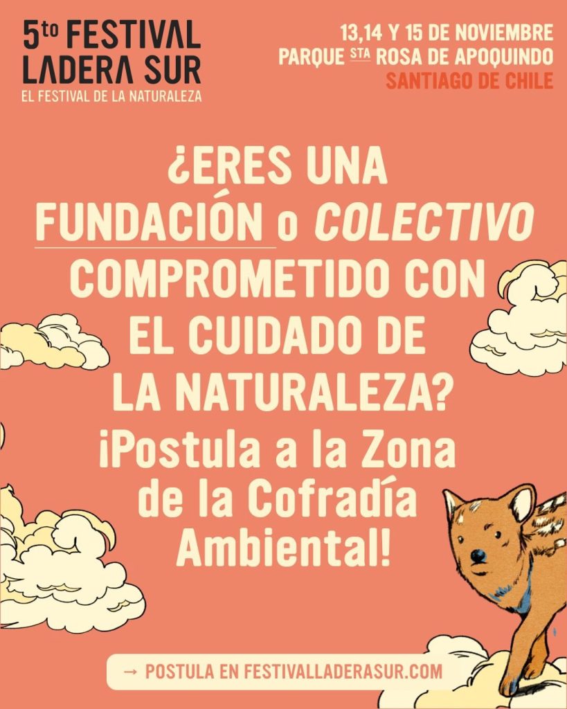5to.Festival Ladera Sur