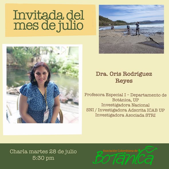 Flora Mioceno y Oligoceno