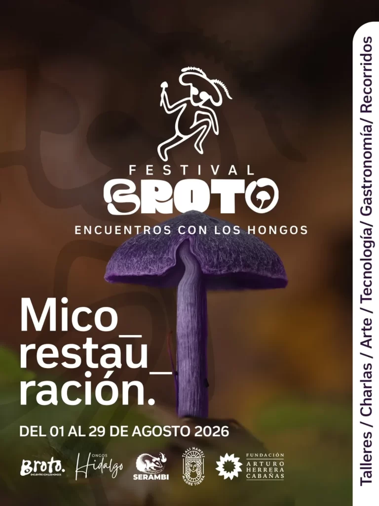 Festival Broto – Encuentros con los Hongos