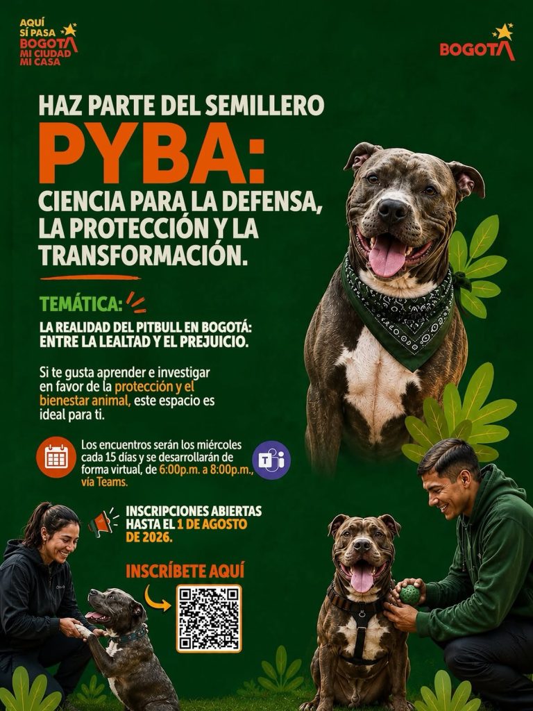 Haz parte del Semillero PyBA