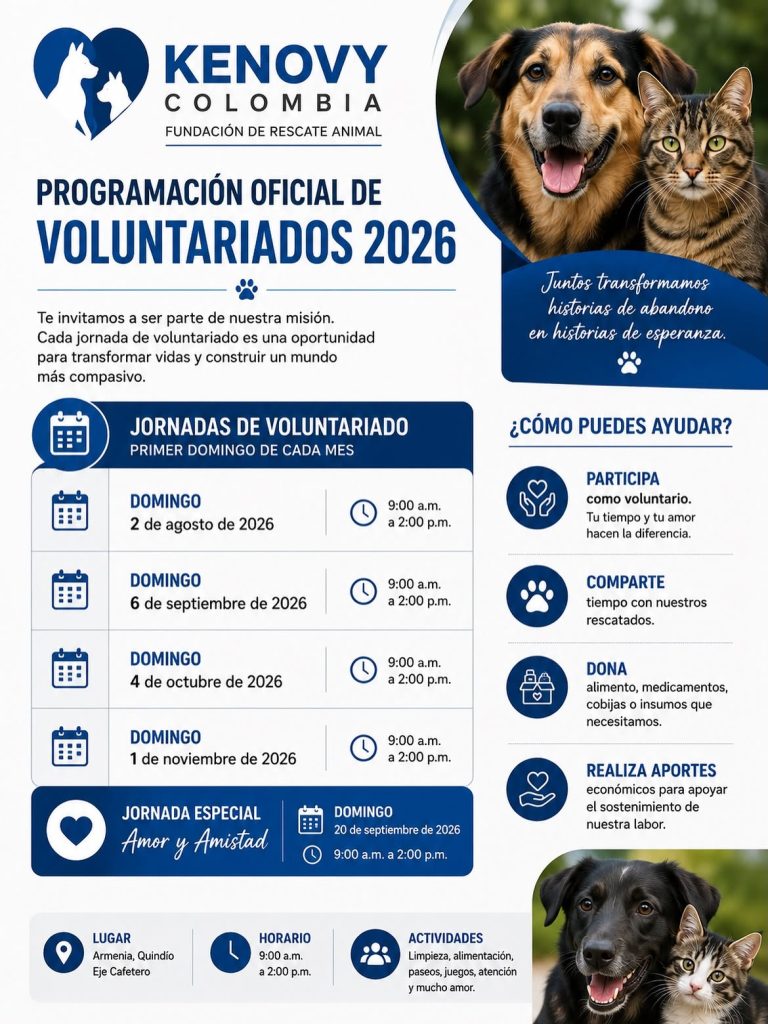 Programación de Voluntariados 2026
