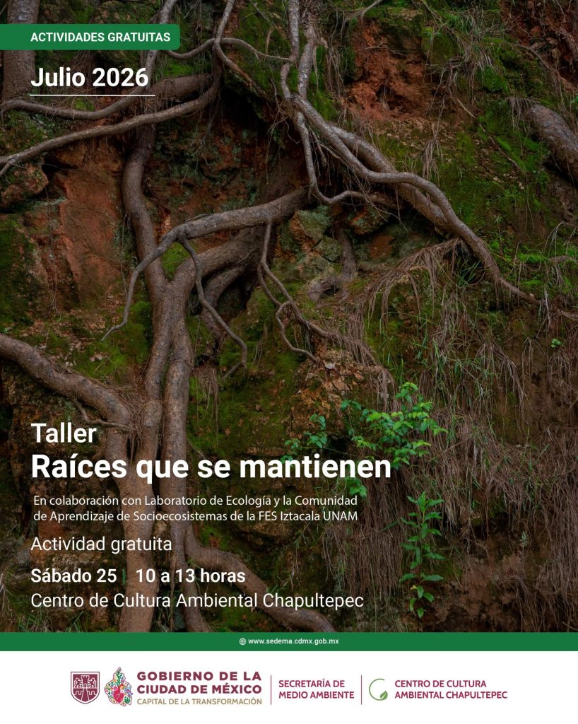 Raíces que se mantienen