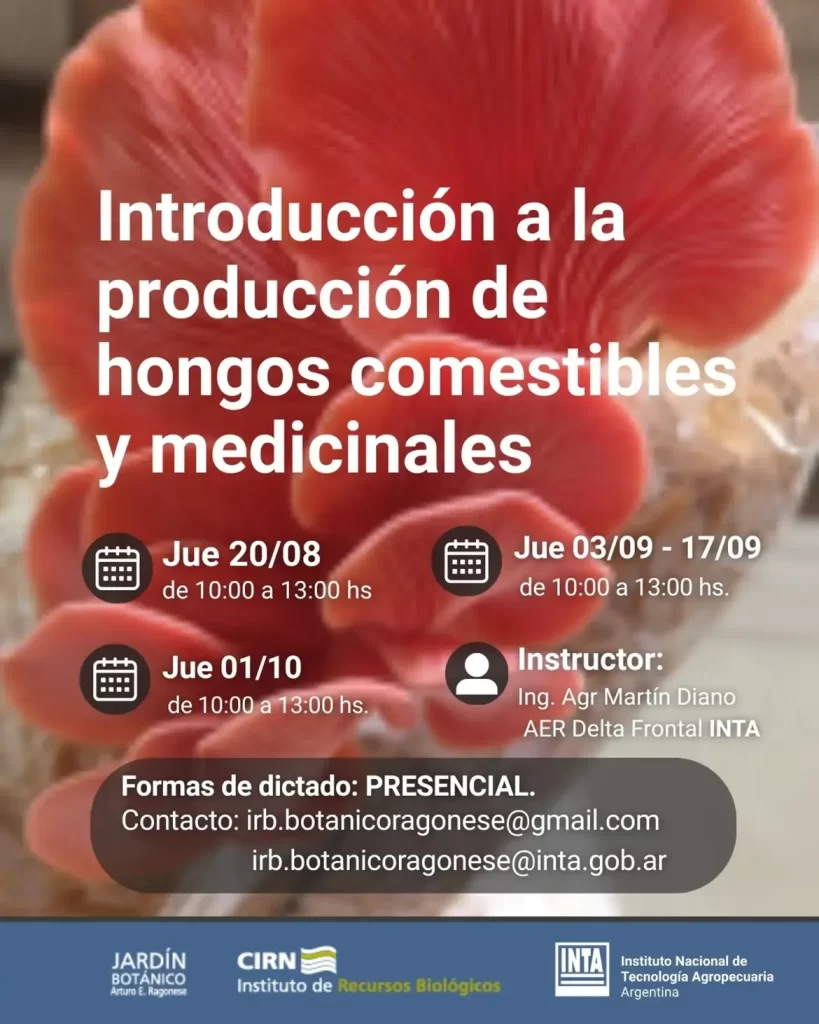 Curso Introducción a Producción de Hongos