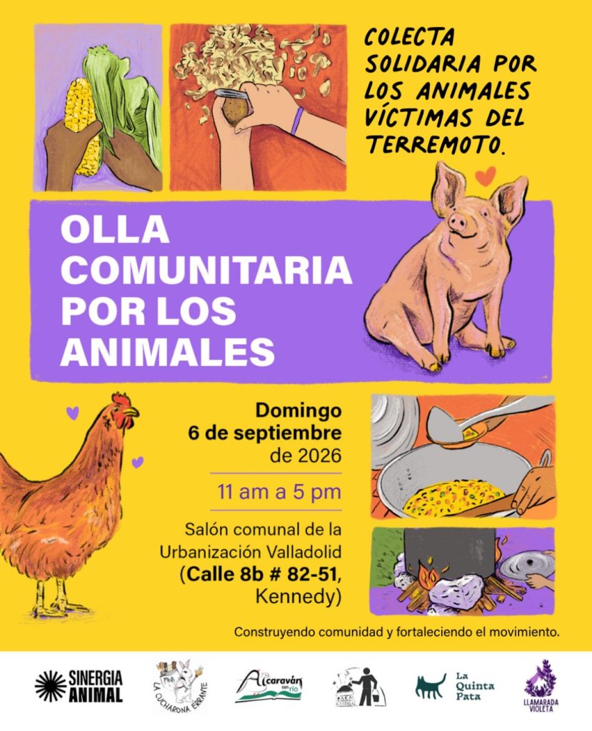 Olla Comunitaria por Los Animales