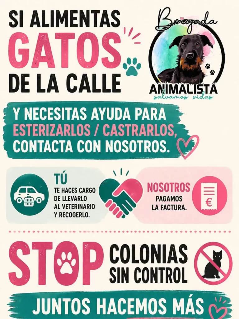 Stop Colonias sin Control