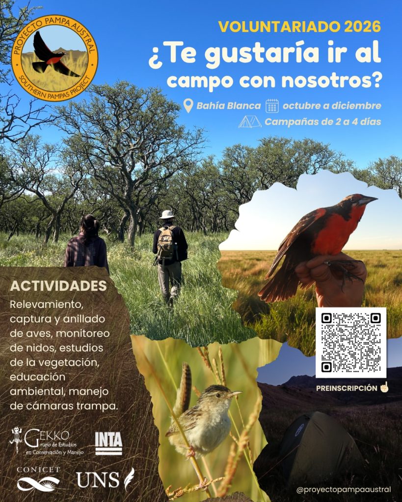 Voluntariado Proyecto Pampa Austral 2026