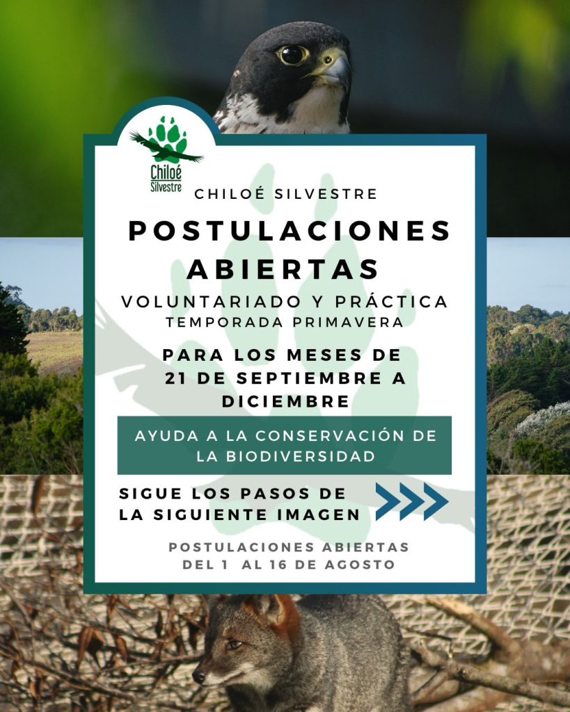 Voluntariado Convervación de La Biodiversidad