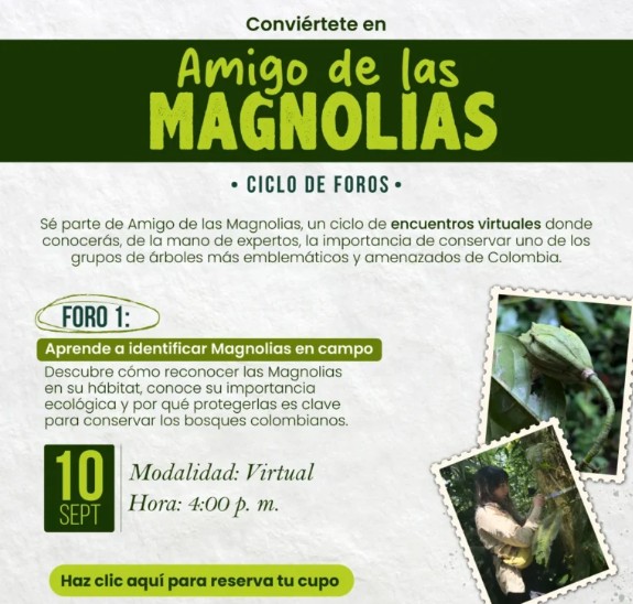 Amigos de las Magnolias
