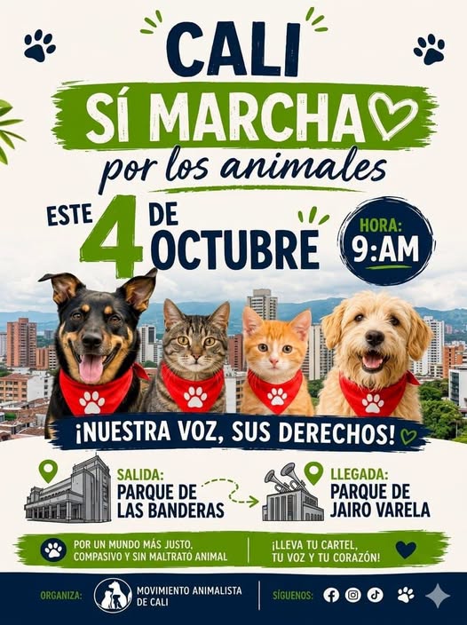 Cali Sí Marcha por los Animales