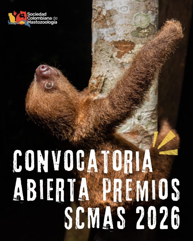 Convocatoria Premios SCMas 2026