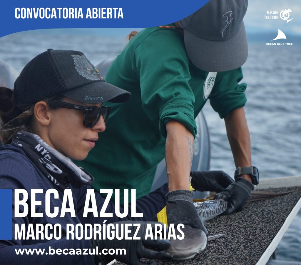 Beca Azul Marco Rodríguez Arias