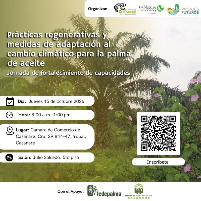 Prácticas regenerativas y adaptación al cambio climático para la palma de aceite